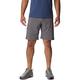 COLUMBIA Herren Shorts Silver Ridge™ Utility Short, Größe 40 in Grau