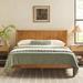 Lark Manor™ Asho Solid Wood Platform Bed Wood in Brown/Green | Queen | Wayfair C6A9EEAC994A40109A9697D2AA5AAB86