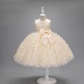 Enfants Fille Robe de fête Papillon Sans Manches Mariage Robe de baptême Princesse Polyester Robe de princesse rose Robe de demoiselle d'honneur Eté 3-10 ans Blanche Champagne Rose Claire