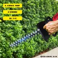 Taille-haie à double lame cisailles de jardin en or à 2 temps 0.9HP 22 5 CC outils de jardinage