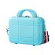 BLBTEDUAMDE Cute Cosmetic Bag Diagonal Trolley Case Child Luggage Small Suitcase 13 Inch Luggage (Color : Picture color-06, Size : 13")