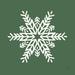 The Holiday Aisle® Holiday Ride Snowflake I Canvas in Green/White | 12" H x 12" W | Wayfair 392360E51BF34E0CABA3B989392EA85F