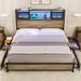 Ivy Bronx Lashaunta Metal Bookcase Bed Metal in Gray | 44.1 H x 57.1 W x 83.5 D in | Wayfair 3BDD30139B564788BB09CA79FE37D759