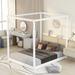 Brown/White Queen Canopy Platform Bed