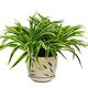 SmPinnaA Artificial Plants Indoor 1 Pack Small Artificial Plants Potted Artificial Green Bonsai Indoor Fake Plants in Pots for Home Bathroom Office Desk Decor Simulation Plant Potted