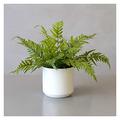 SmPinnaA Artificial Plants Indoor Artificial Potted Plants Simulation Fern Plants Bushes and White Ceramic Basin for House Office Garden Indoor Decor Simulation Plant Potted