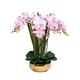 SmPinnaA Artificial Flowers for Decoration Light Luxury Butterfly Orchid Artificial Phalaenopsis Flower of Dried Flowers with Potted for Living Room Home Decor Artificial Flowers Plants