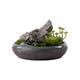 SmPinnaA Artificial Bonsai Tree Artificial Grass Artificial Green Plant, Home Living Room Table Floral Jewelry Artificial Flower Potted Plant, Artificial Bonsai Ceramic Artificial Plant Simulation