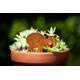 Cute Pig Plant Pot Ornament, Rusty Metal Garden Art, Pet Memorial Gifts, Spike, Window Box Decor, Ready To Rust