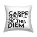 Stupell Industries Carpe Out Of Diem Humor Outdoor Printed Pillow by lulusimonSTUDIO /Polyfill blend in Black/White | 18 H x 18 W x 7 D in | Wayfair