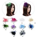 Pince à cheveux en maille pour femme nœud perles de plumes fascinateur de mariage voile à pois