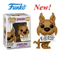 2024 Funko Pop Animation Scooby #1045 Doo RUH-ROH Exclusivo Aléatoire Édition Spéciale Vinyle Action