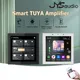 Smart Home Theater Wall Android 11 Sound Amplifier WiFi Bluetooth Touch Screen 2 or 4 Channels Audio