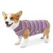 1PCS postoperative suit for dogs High elasticity Breathable dog spay/neuter suit for dogs after surgery