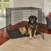 MidWest Homes For Pets XX-Large Double-Door Metal Wire Dog Crate 54