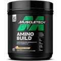 MuscleTech Aminobuild BCAA Pulver, Verzweigtkettige Aminosäuren (BCAA) Mit Elektrolytpulver, Zucker Frei, 5g BCAA, 40 Portionen, Tropischer Twist