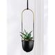 ABETREE Metal Hanging Planter for Indoor Outdoor Plants Adjustable Modern Minimalist Wall and Celling Hanging Flower Pot Plant Holder for Succulent, Air Plants Home Decor