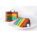 The Chocolate Rainbow Layer Cake