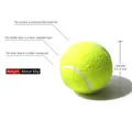 Pratica primaria Tennis 1 metro Stretch Training Tennis Match Training palline da Tennis in fibra