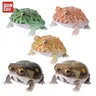 Capsule Toys biolographic Illustrated Frog Breviceps Adspersus Animal Illustrated Action Figure