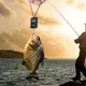 Balance électronique de pesage de poisson sans rétro-éclairage outil de poids de sac de voyage