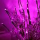 led branche lumière à piles allumé branche vase remplissage saule arbre artificiel petite brindille puissance marron 30 pouces 20 led pour la maison fête de mariage décoration romantique