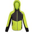 Regatta Childrens/Kids Prenton Lightweight Fleece Jacket - Bright Kiwi/Dark Grey - Green - 15-16 YEARS