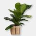 NEEPA HUT 6" Fiddle Leaf Fig + Basket - Brown