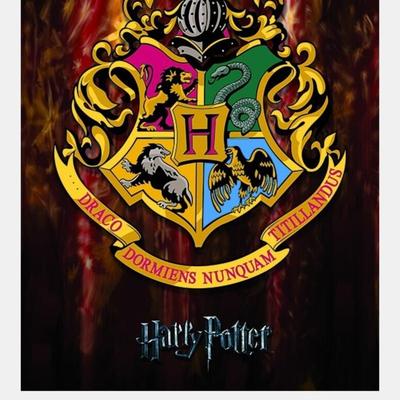 Harry Potter Hogwarts Crest Framed Canvas Print - ...