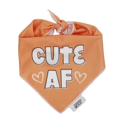 Sassy Woof Dog Bandana - Cute AF - Orange
