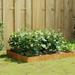 Irfora parcel Raised Bed Corten Steel Flowers - Decorative Herbs Balcony Decor Bed Durable And Breathability - Ideal In Rusty Corten - Ideal Herbs - Open Efficient And Rustic Planter Box Plant Pot