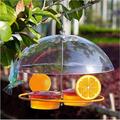 Bird Feeders Hanging Wild Birds Pirole Feeders Feeding Stations 6.3 Inch Height 6.3 Inch Widening Feeding Stations For Wild Birds Jelly And Oranges Hummingbirds Houses For Outdo