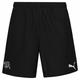 Schweiz PUMA Kinder Shorts 744365-13Y