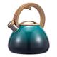 Stove Top Whistling Tea Kettle, Tea Kettle 2.5L Stainless Steel Whistling Kettle Kitchen Stovetop Kettle Camping Tea Kettle Teapot for Gas Stove Induction Cooker Tea Pot ((Colo (Color : Green, Size