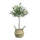 Artificial Trees Artificial Tree Plant Artificial Potted Olive Tree Pieces Bionic Bonsai Large Fake Tree Artificial Plant Decoration Artificial Plant (Size : B-80cm)