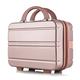 AQQWWER Luggage Set Luggage Set Travel Suitcase Trolley Luggage Bag ;Carry On Cabin Rolling Luggage Spinner Wheels Women Trolley Case (Color : Gold)