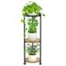 17 Stories 3 Tier Tall Metal Plant Stand Indoor Outdoor, Corner Plant Stands For Indoor Plants Multiple | Wayfair DA20CDB099934349B968ED5B613AC891