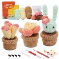 Crochet Kit for Beginners, Beginner Crochet Starter Kit with Step-by-Step Video Tutorials, Beginner Crochet Kit for Adults Kids, Knitting Kit for BeginnersThe Same Type Of Succulent Potted Cactus Crochet Wool Material Bag Is Hand Woven