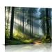 Fenyluxe Nature Wall Art Tree Wall Art Forest Decor Canvas Wall Art For Living Room Decor Aesthetic Vintage Posters & Prints Bedroom Wall Art Home Wall Decor Classroom 20x16 in/16x12 in