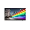 Philips 65BFL2214/12 Fernseher 165.1 cm (65") 4K Ultra HD Smart-TV WLAN Schwarz 350 cd/m²