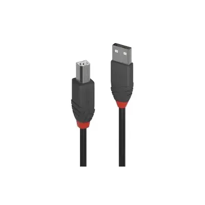 Lindy 36673 USB Kabel 2 m 2.0 A B Schwarz