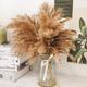 pcsset Natural Reeds Pampas Grass Foxtail Grass Dried Flower For Home Decoration And Wedding Bouquets