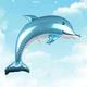 pc Dolphin Shaped Balloon Cartoon Creative Aluminum Balloon For Birthday Party