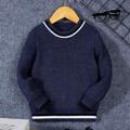 Toddler Boys Contrast Trim Sweater