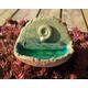 Ammonite fossil green ceramic glazed tea light holder / altar piece with recycled glass