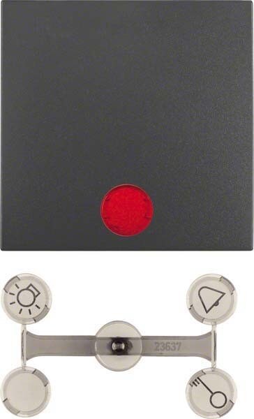 Berker Wippe anth matt 16211606 Image