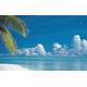 2000 Piece Jigsaw Puzzles for Adults Jigsaw Puzzle 2000 Pieces Jigsaws Adults Puzzles Gifts, Beach, Aitutaki, Cook Islands 70x100CM