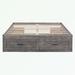 hanada Beds Platform Storage Bed Wood in Gray/Brown | 15.9 H x 56.3 W x 76.8 D in | Wayfair Hada20237123