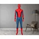 Erwachsene Kinder Halloween Homecoming Peter Parker Spiderman Cosplay Kostüm Superheld Zentai Anzug