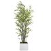 Vintage Home Panama Artificial Bamboo Tree in Planter Plastic/Fiberstone | Wayfair VHX164211